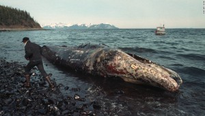 exxon-valdez