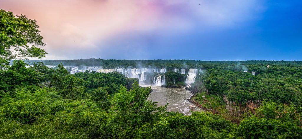 importanza foresta Amazzonia